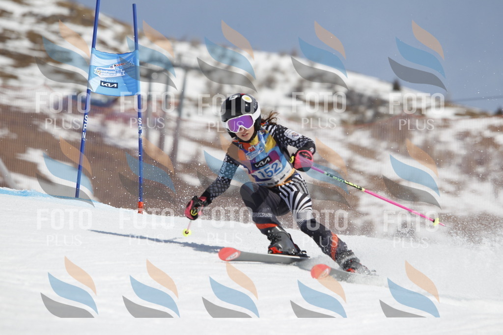 _U3G1260 | holidayphoto