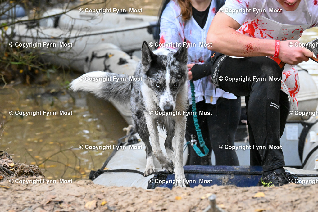 DSC_6352 | Hallo und herzlich Willkommen auf meiner Shop-Seite Fynn Most.

Ich wünsche Dir viel Spaß beim stöbern durch die Bilder, wenn Du Fragen hast oder Bilder vermisst, kannst du mir gerne eine Nachricht schreiben. - Realisiert mit Pictrs.com