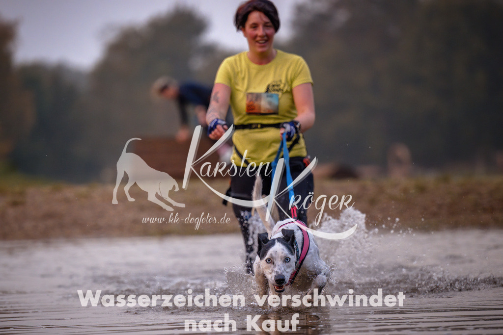0808_ZZ90408 | kk-dogfotos