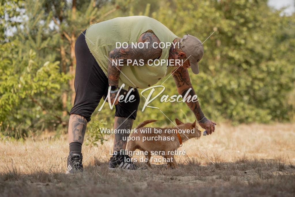 nelerasche_soDD2_71 | nelerasche