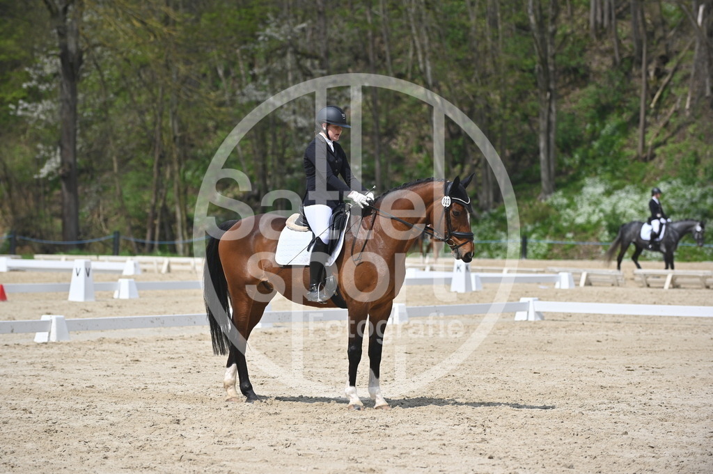 DSC_1977 | sattelsport - Realisiert mit Pictrs.com