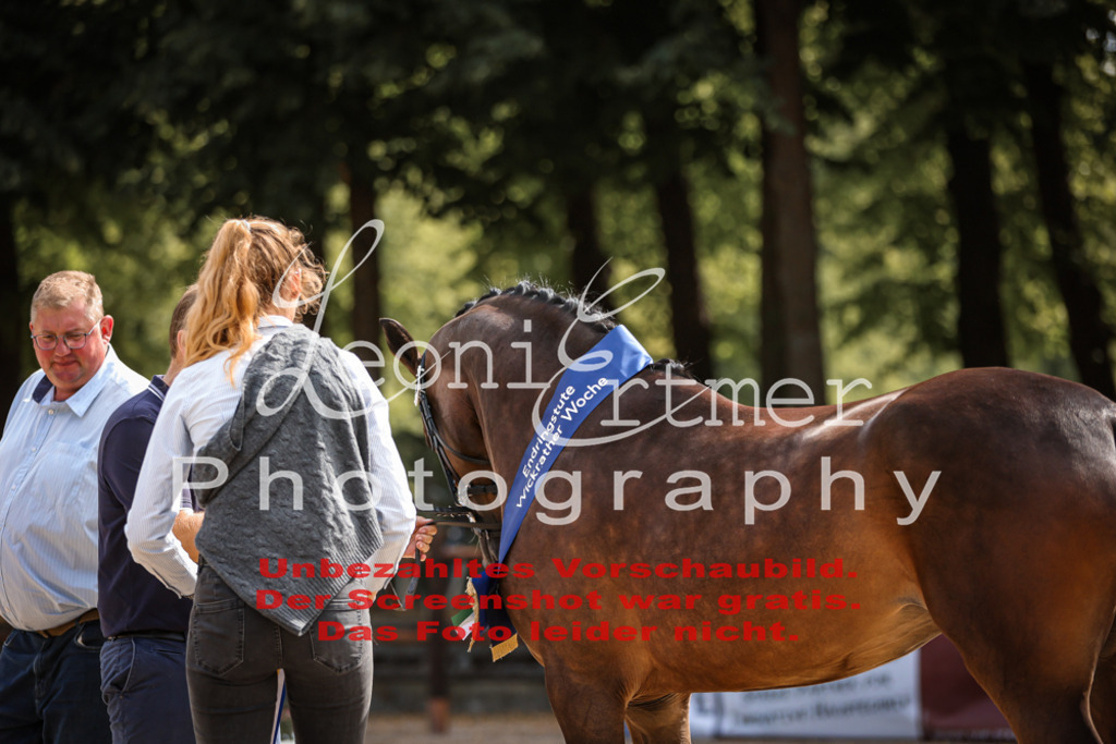 SoER00076 | Leoni Ertmer Photography - Realisiert mit Pictrs.com