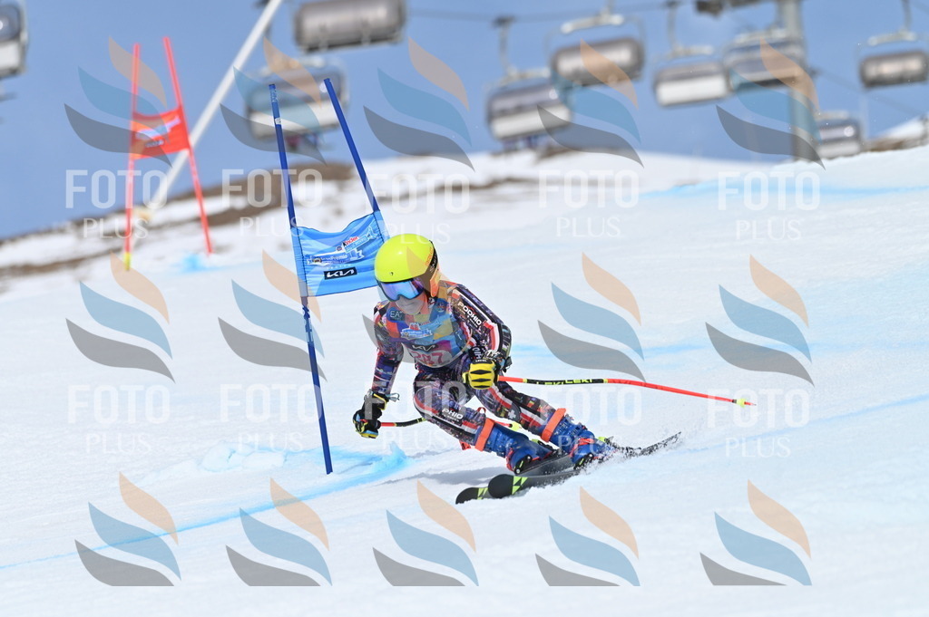 BGV_2551 | holidayphoto