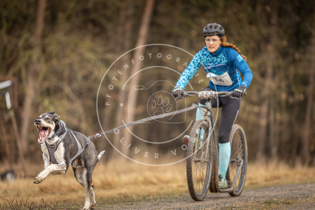 DV3A3398 | Hundefotografie, Tierfotograf, Pfotenfotografie, Fotoshooting Hund, Hunde Portrait, Hundesport, Hundeportraits, Heideshooting, Hunde, Sportfotograf, Hundefotograf, Turnierhundsport, THS,  - Realisiert mit Pictrs.com