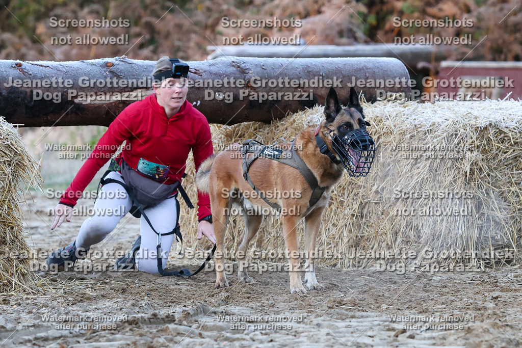 Dog Paparazzi - Strongdog 10-25-345 | Dog Paparazzi Jeanette Grottendiek Fotografie & Videografie - Realisiert mit Pictrs.com