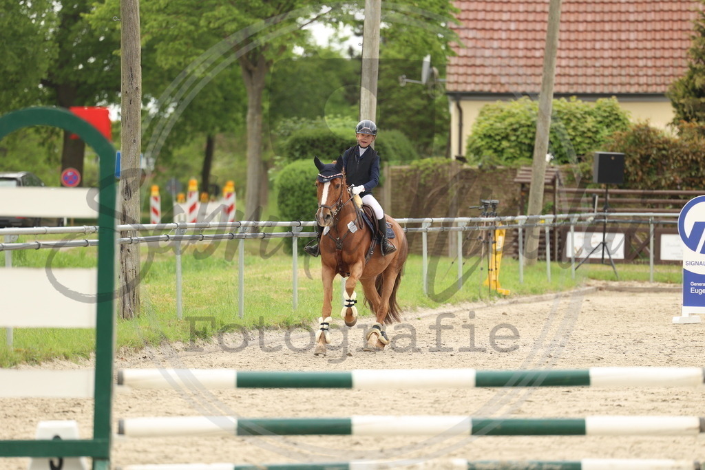 994A8608 | sabrinanicolaifotografie - Realisiert mit Pictrs.com