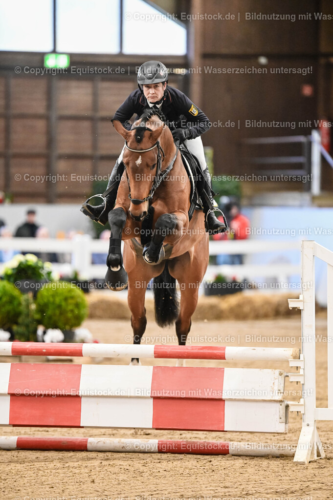 20260307_Hengstvorstellung-Marbach_0015 | equistock