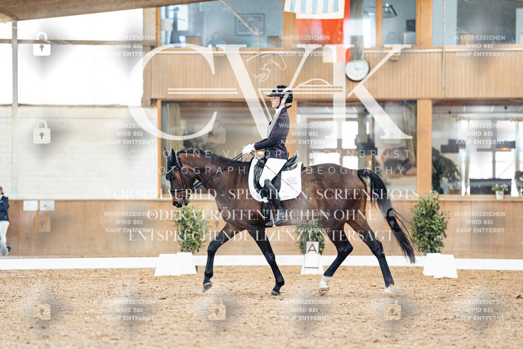 CK909246 | Turnierfotografie Pferdefotografie Trier Rheinland-Pfalz Pferdesport Reitsport Tierfotografie Sportfotografie Pferdevideo Pferdevideografie Equestrianvideography equestrianphotography  - Realized with Pictrs.com