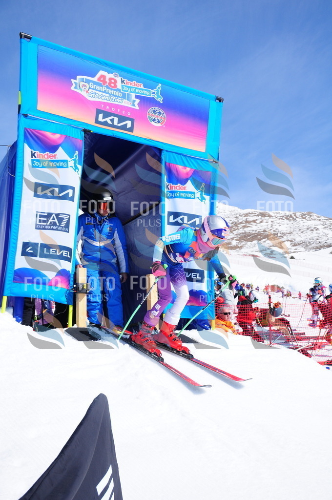 DSC_4847 | holidayphoto