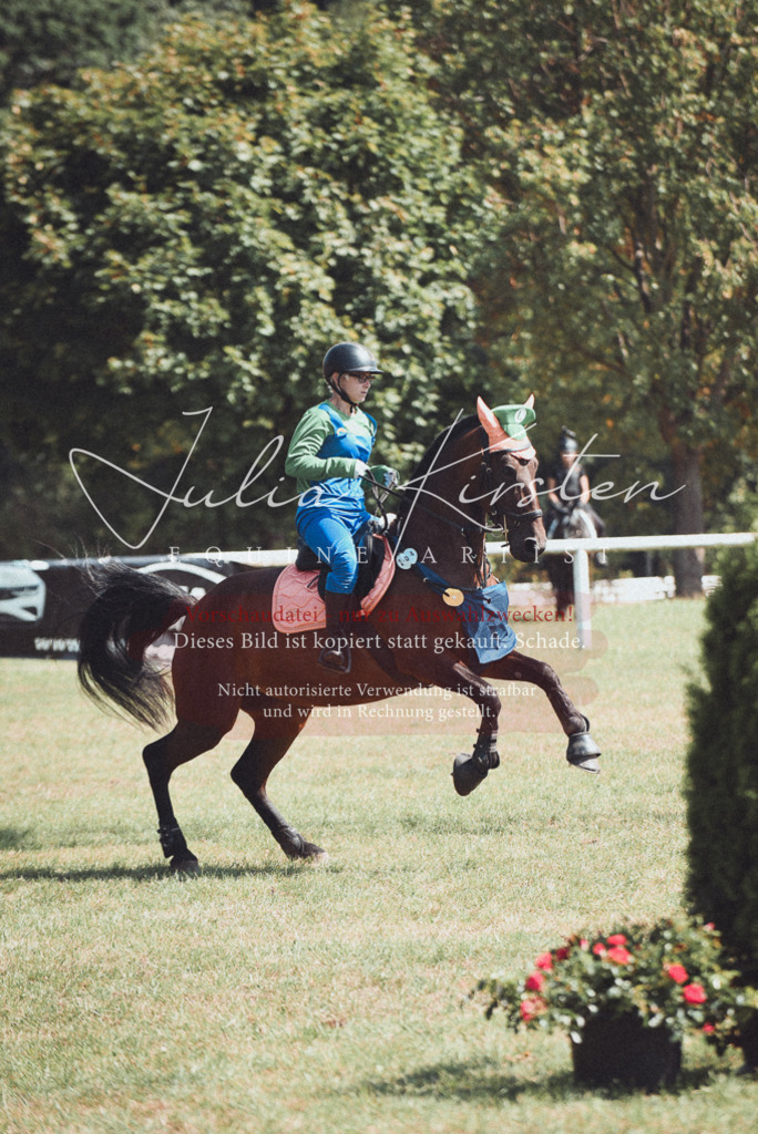 DSC_0251 | Pferde- und Turnierfotografie in Westsachsen. Pferdeportraits, Auftragszeichnungen und intuitive Kunst.