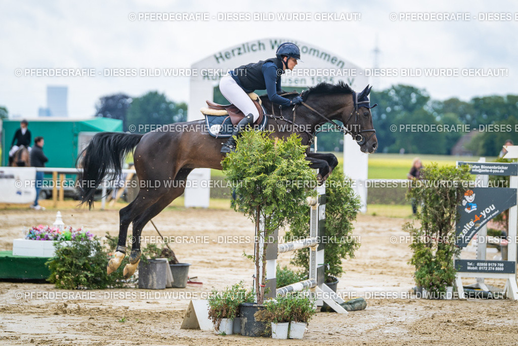 DSC04604 | Pferdegrafie