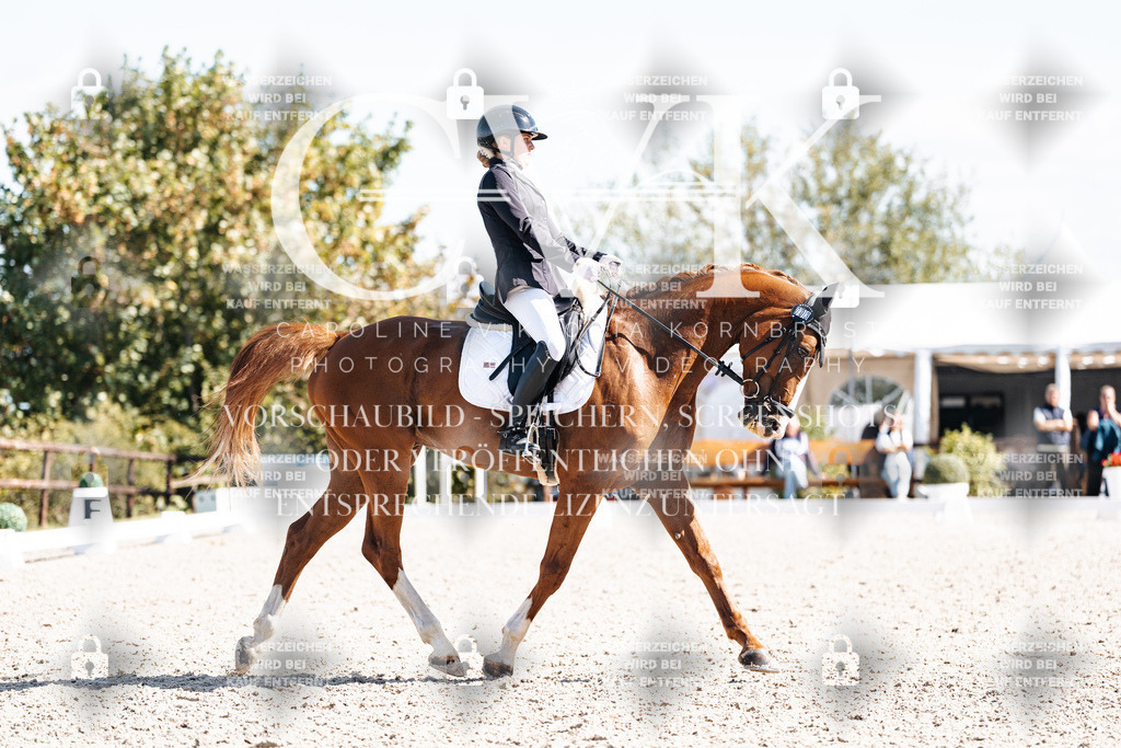 CK902828 | Turnierfotografie Pferdefotografie Trier Rheinland-Pfalz Pferdesport Reitsport Tierfotografie Sportfotografie Pferdevideo Pferdevideografie Equestrianvideography equestrianphotography  - Realisiert mit Pictrs.com