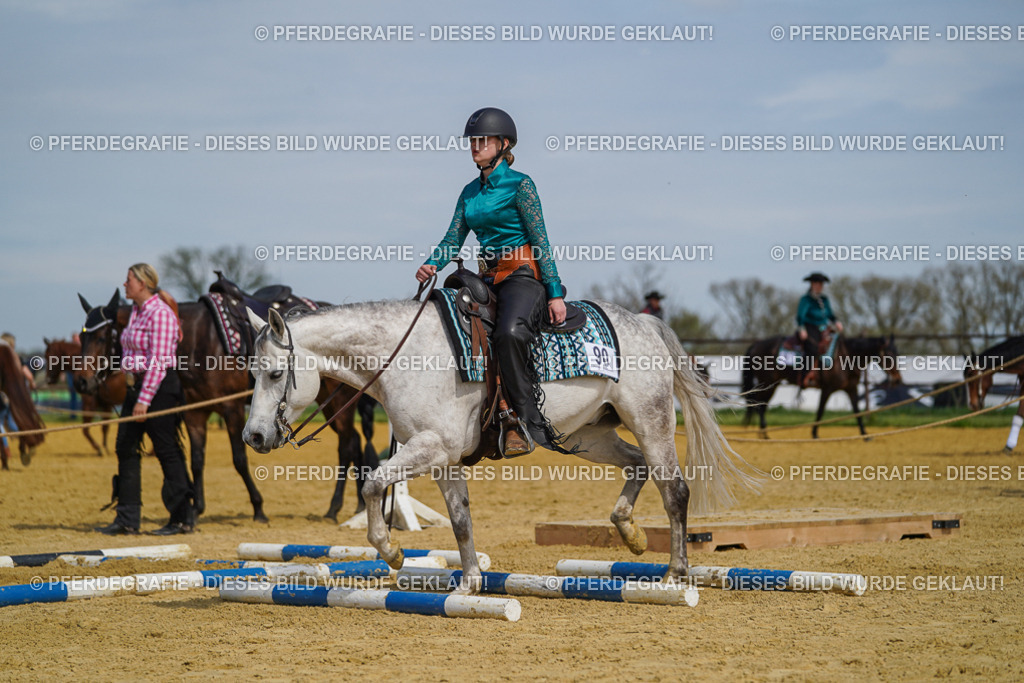 DSC04671 | Pferdegrafie