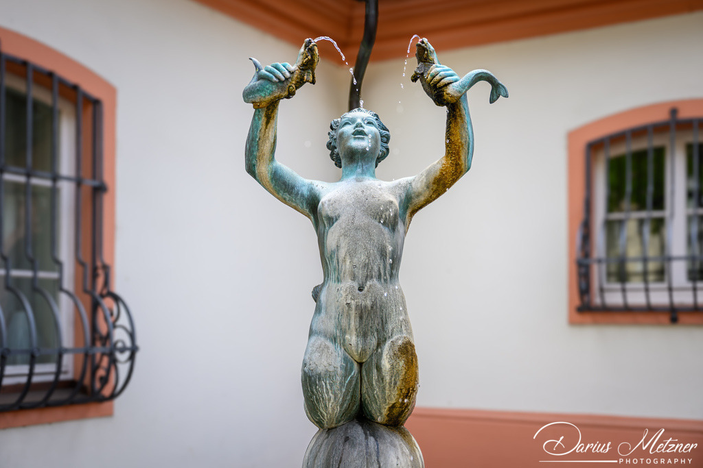 DSC_7107 | Fotografien, Fotos und Bilder aus Mainz, Frankfurt, Wiesbaden und anderen Orten auf der Welt - Fotografiert von Darius Metzner