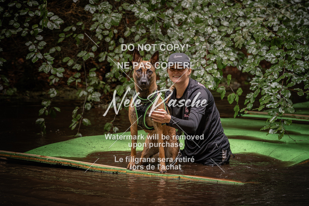 nelerasche_Wingst_Sa1330-1400_83 | nelerasche