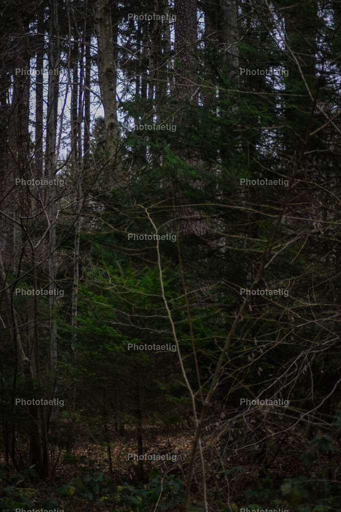 IMG_6164 | phototaetig