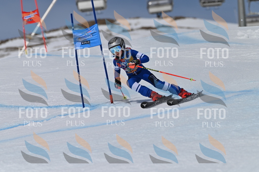 BGV_6860 | holidayphoto