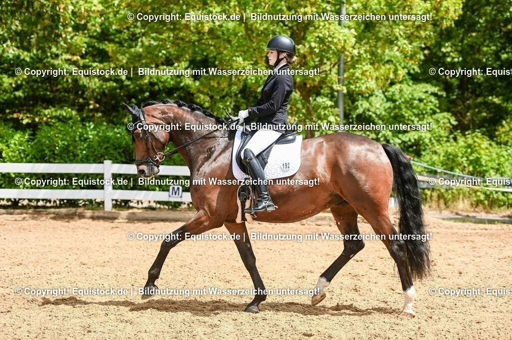 20230716_03_Dressurprfg. Kl.L - Tr._0444 | equistock