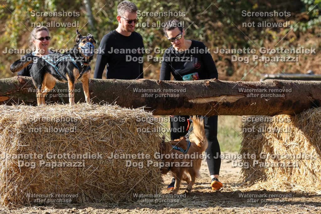 Dog Paparazzi - Strongdog 10-25-4839 | Dog Paparazzi Jeanette Grottendiek Fotografie & Videografie - Realisiert mit Pictrs.com