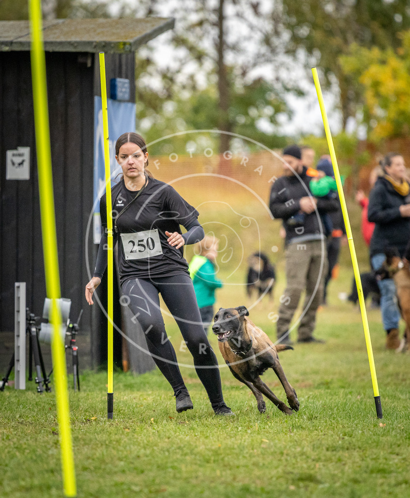 Pfotenfotografie_DV3A0432 | Hundefotografie, Tierfotograf, Pfotenfotografie, Fotoshooting Hund, Hunde Portrait, Hundesport, Hundeportraits, Heideshooting, Hunde, Sportfotograf, Hundefotograf, Turnierhundsport, THS,  - Realisiert mit Pictrs.com