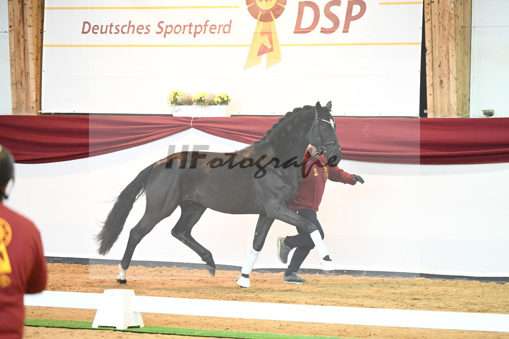 Kat-Nr. 30 v. Fantastic_Wilbers_66220399 | hf-fotografie - Realisiert mit Pictrs.com