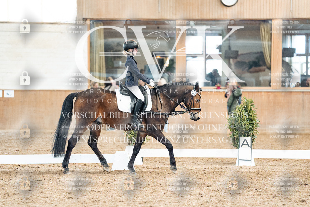 CK900410 | Turnierfotografie Pferdefotografie Trier Rheinland-Pfalz Pferdesport Reitsport Tierfotografie Sportfotografie Pferdevideo Pferdevideografie Equestrianvideography equestrianphotography  - Realized with Pictrs.com