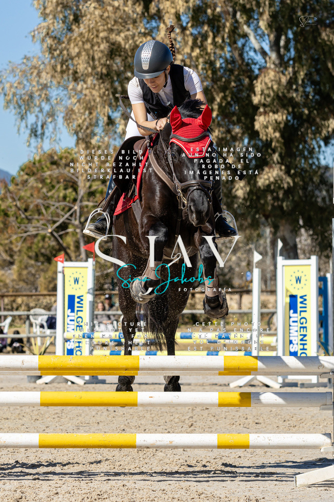 IMG_9406 | s-jay-photography - Realisiert mit Pictrs.com