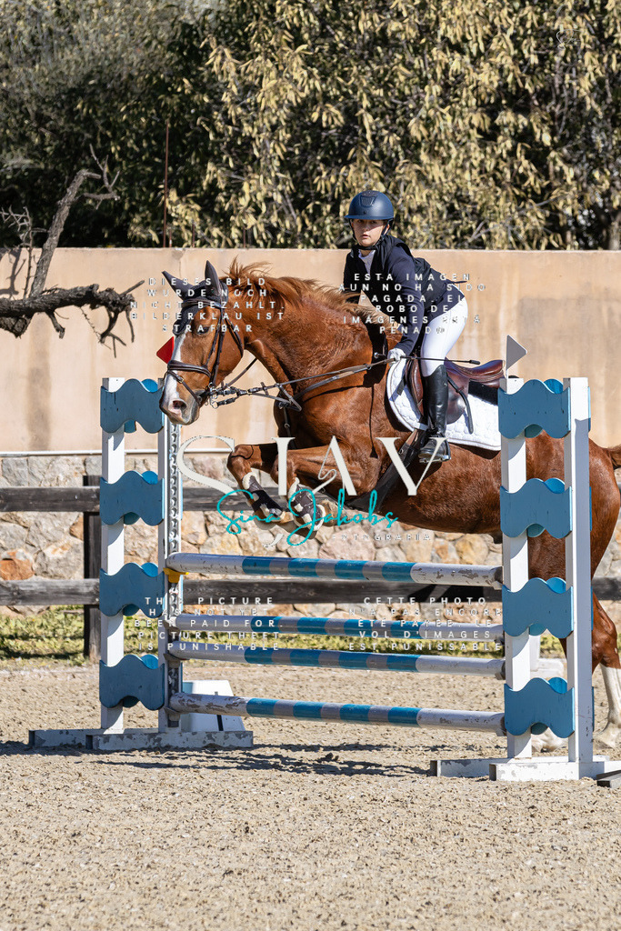 IMG_9972 (2) | s-jay-photography - Realisiert mit Pictrs.com