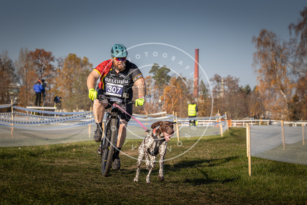 CaniXpix_0L8A8217 | Hundefotografie, Tierfotograf, Pfotenfotografie, Fotoshooting Hund, Hunde Portrait, Hundesport, Hundeportraits, Heideshooting, Hunde, Sportfotograf, Hundefotograf, Turnierhundsport, THS,  - Realisiert mit Pictrs.com