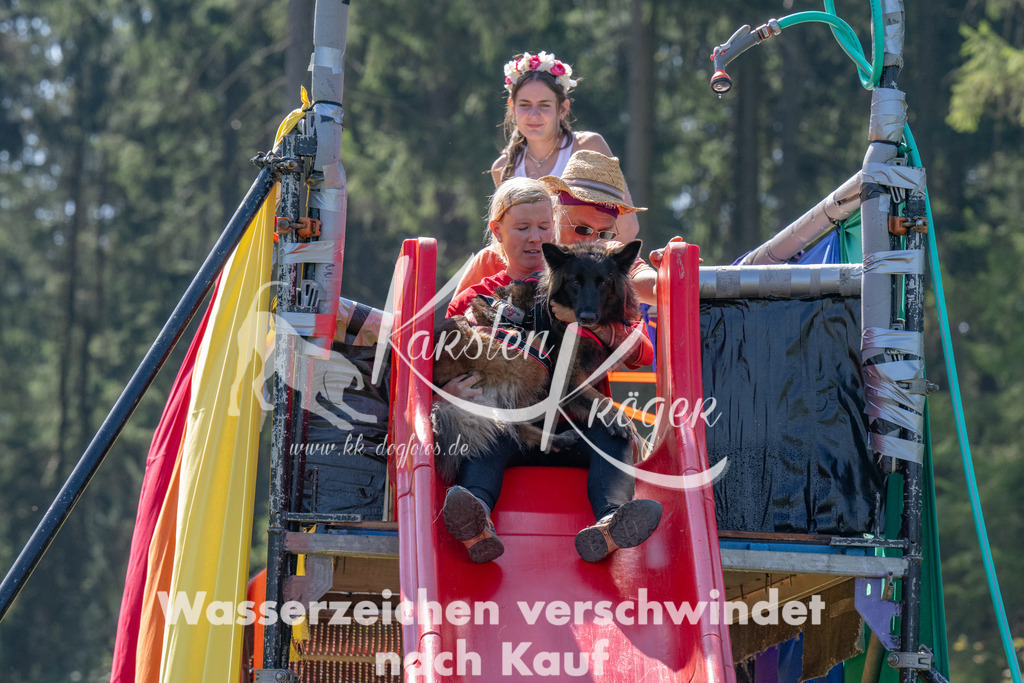 1236_ZZ92589 | kk-dogfotos