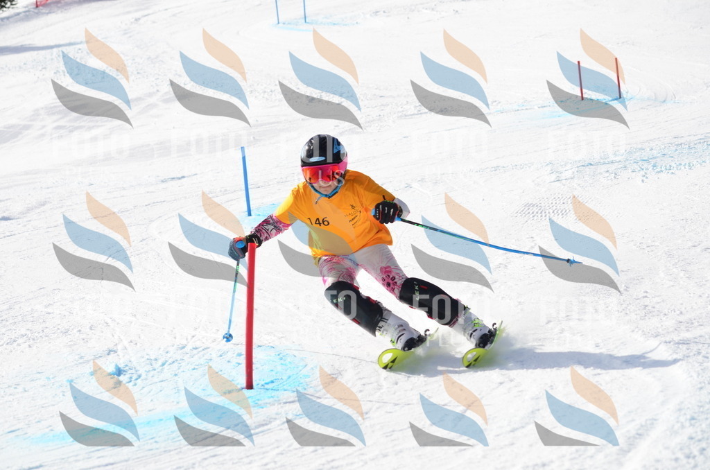 C7725 | holidayphoto