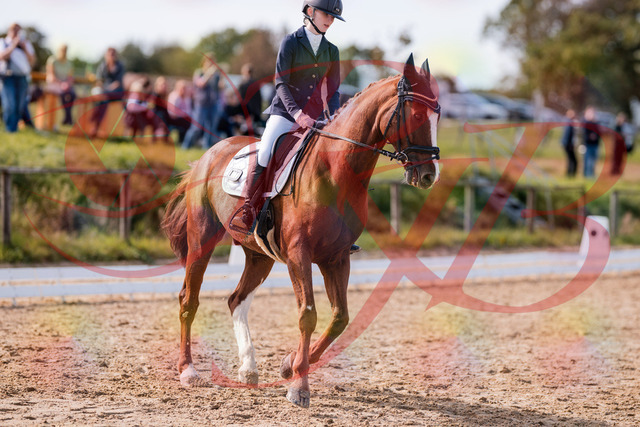 2026_10_03_Siefer-Hof_133108_Z81_84480589 | Professionelle Reitsport-, Turnier- und Eventfotografie von Robert Broda. Galerien mit ausgewählten und bearbeiteten Bildern direkt online ansehen und bestellen.