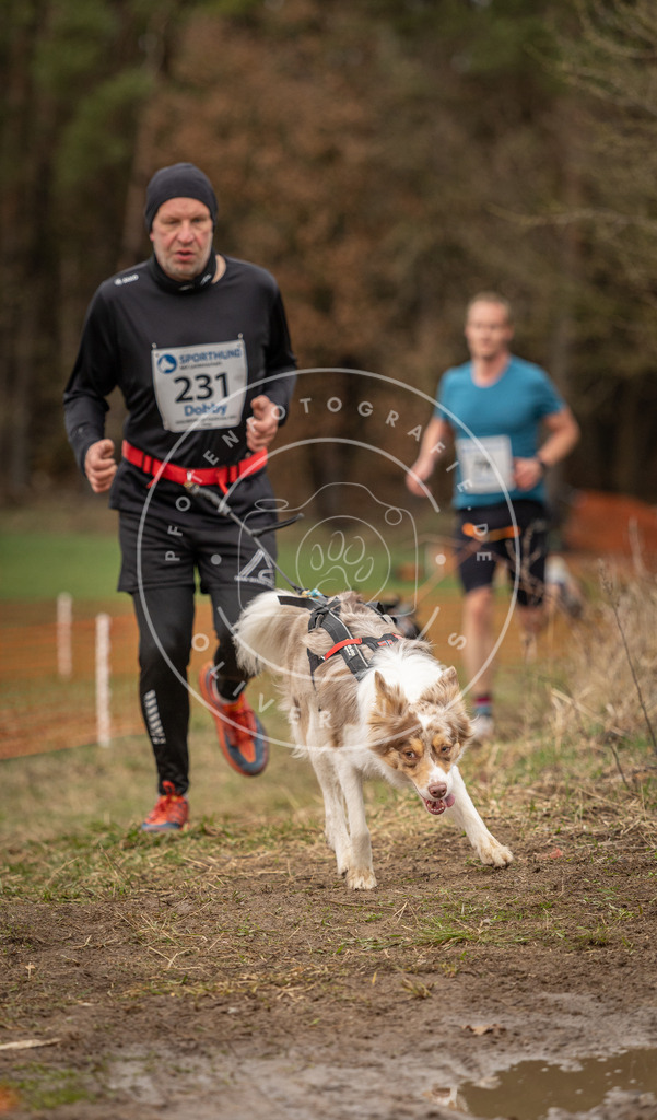 DV3A3082 | Hundefotografie, Tierfotograf, Pfotenfotografie, Fotoshooting Hund, Hunde Portrait, Hundesport, Hundeportraits, Heideshooting, Hunde, Sportfotograf, Hundefotograf, Turnierhundsport, THS,  - Realisiert mit Pictrs.com