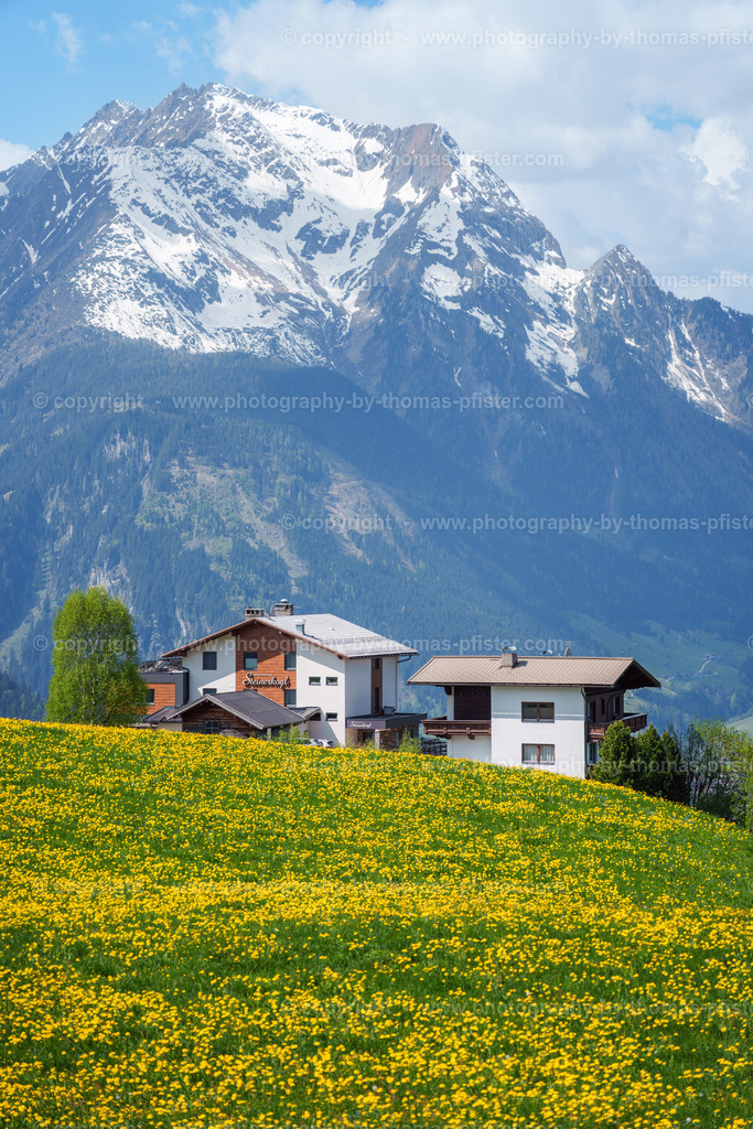  Steinerkogl Wanderung Frühling copyright  Thomas Pfister-4 | PHOTOGRAPHY BY THOMAS PFISTER