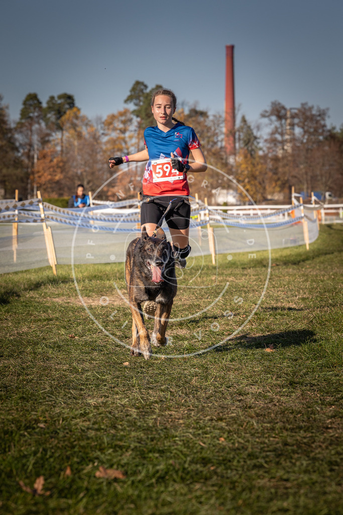 CaniXpix_0L8A8448 | Hundefotografie, Tierfotograf, Pfotenfotografie, Fotoshooting Hund, Hunde Portrait, Hundesport, Hundeportraits, Heideshooting, Hunde, Sportfotograf, Hundefotograf, Turnierhundsport, THS,  - Realisiert mit Pictrs.com