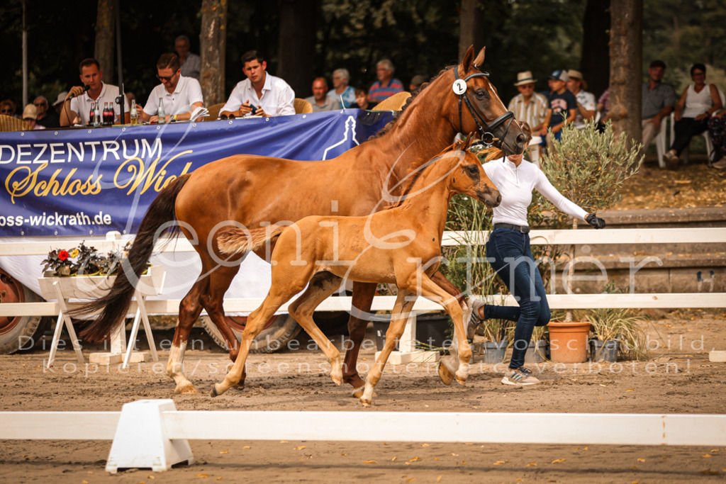 SaPA00039 | Leoni Ertmer Photography - Realisiert mit Pictrs.com