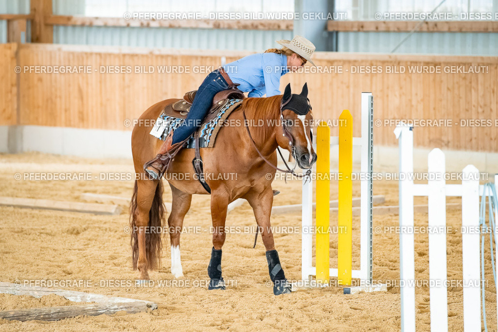 DSC07439 | Pferdegrafie