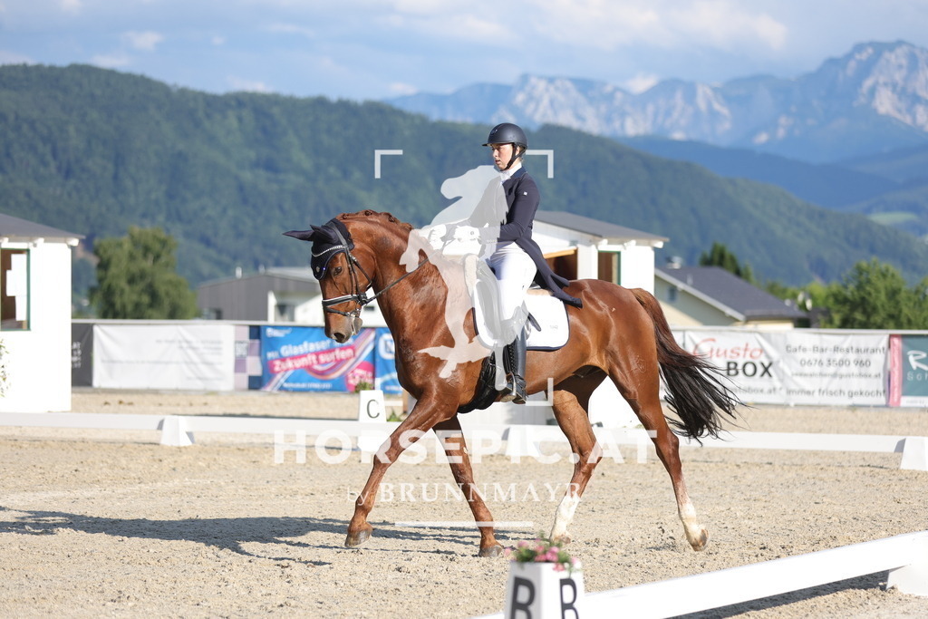 0P6A3056 | Willkommen bei Brunnmayr - Design & Fotografie – Ihrem Spezialisten für Reitturniere und Pferdeveranstaltungen in Oberösterreich, Salzburg und Bayern! Seit über 17 Jahren sind wir leidenschaftlich dabei.