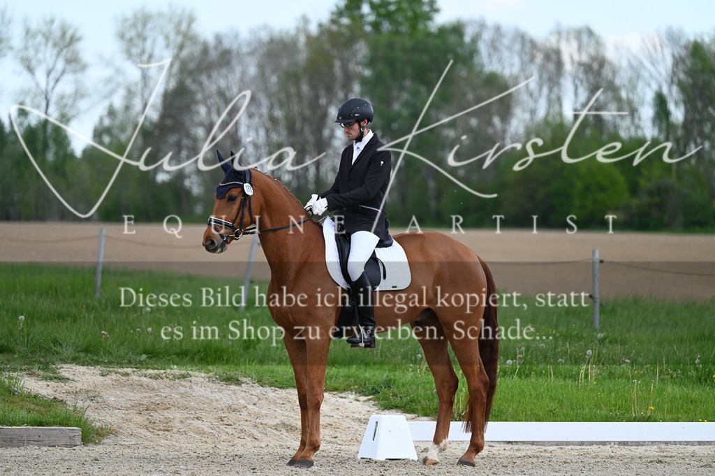 20230512_JK-Röhrsdorf-03-030 | Pferde- und Turnierfotografie in Westsachsen. Pferdeportraits, Auftragszeichnungen und intuitive Kunst.