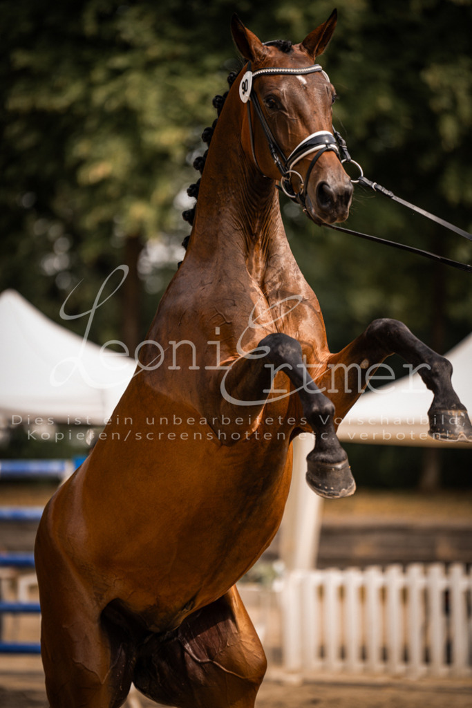 6.Fr00173 | Leoni Ertmer Photography - Realisiert mit Pictrs.com