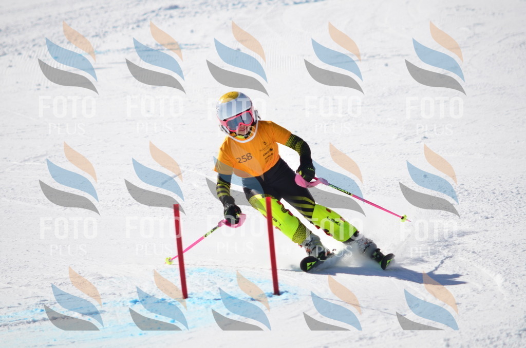 C8493 | holidayphoto