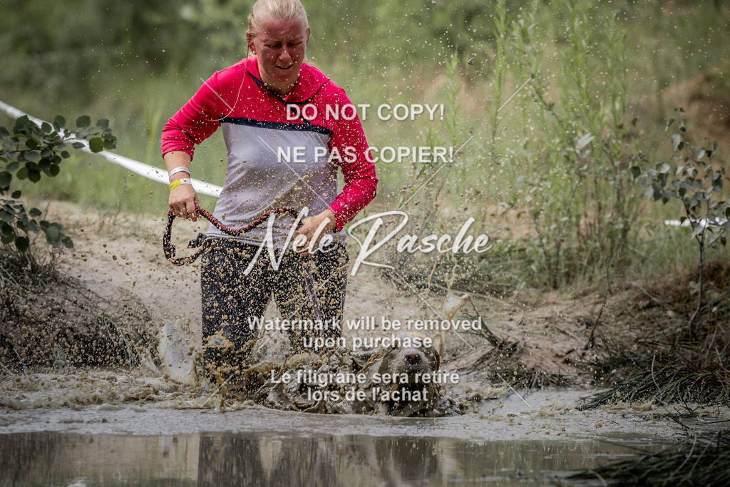 nelerasche_so0800-0930_27 | nelerasche