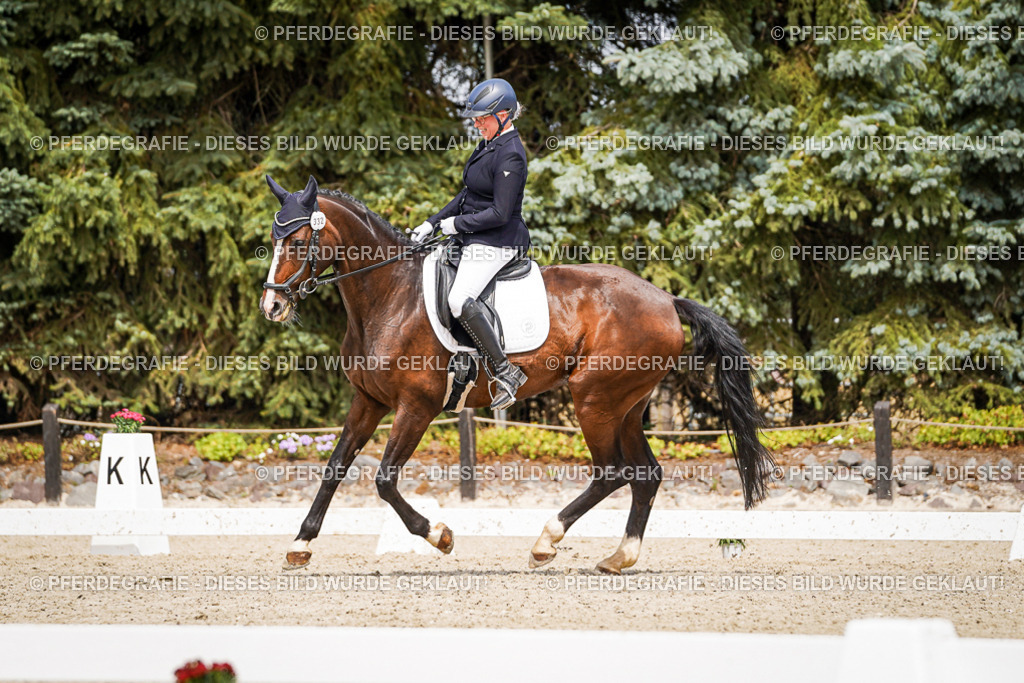 DSC03673 | Pferdegrafie