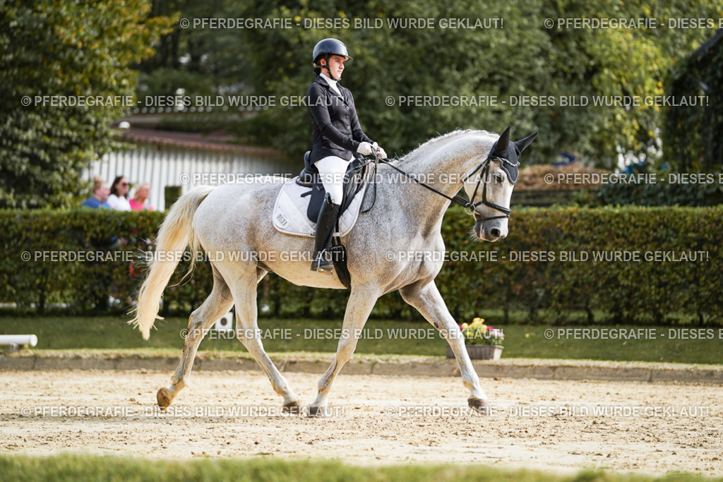 DSC04227 | Pferdegrafie