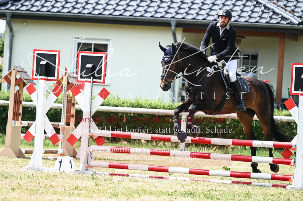 DSC_8901 | Pferde- und Turnierfotografie in Westsachsen. Pferdeportraits, Auftragszeichnungen und intuitive Kunst.