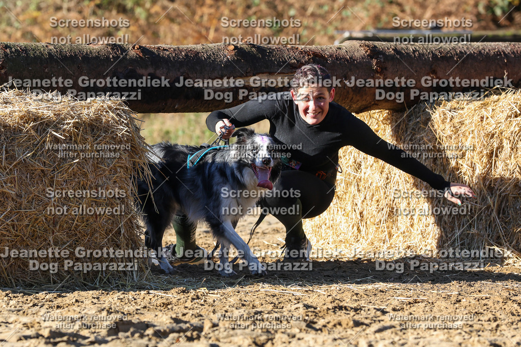 Dog Paparazzi - Strongdog 10-25-1978 | Dog Paparazzi Jeanette Grottendiek Fotografie & Videografie - Realisiert mit Pictrs.com