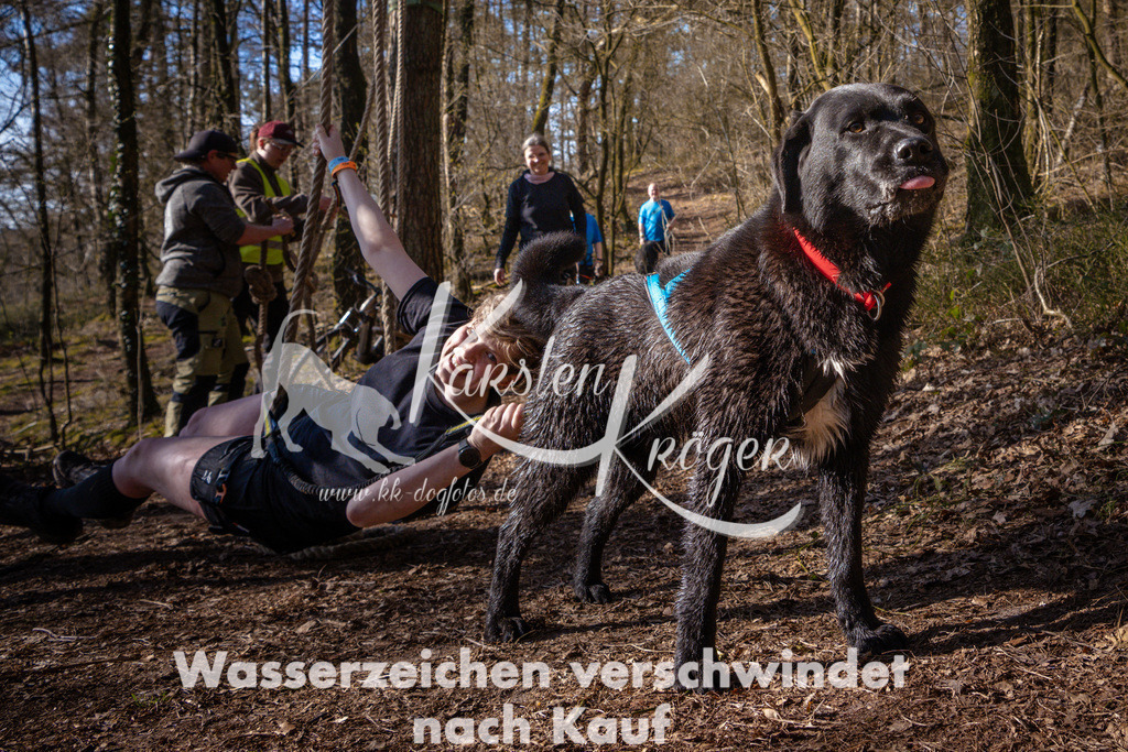 0930_ZZ98396 | kk-dogfotos