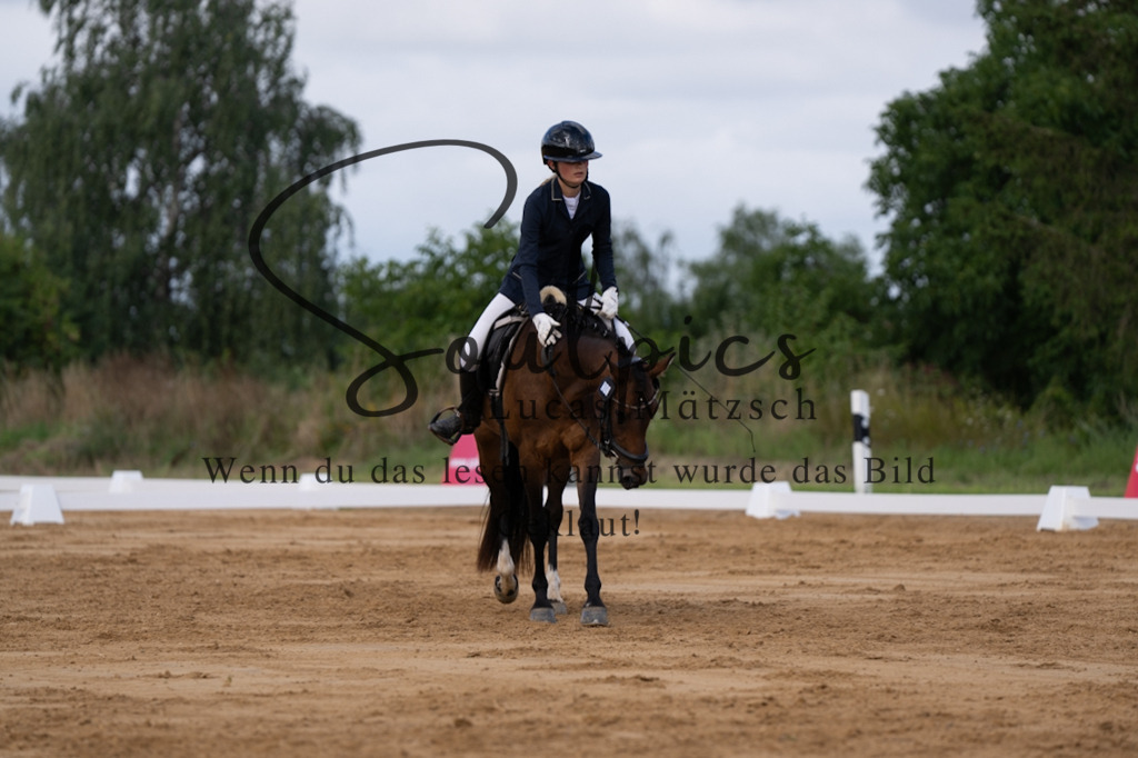 A7V05203 | Pferdefotograf