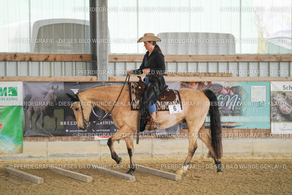 DSC02485 | Pferdegrafie