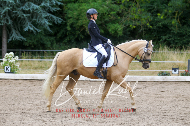 DKP46848 | Turniersportfotografie; Pferdefotografie; Dressurfotografie